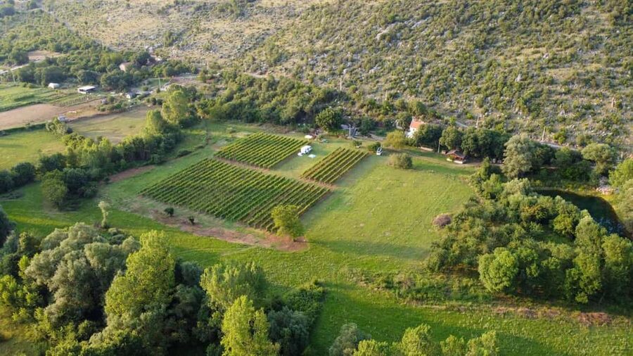 Podgorica: Panoramic Wine Tasting & Snack - Wine from Vranac and Kratošija