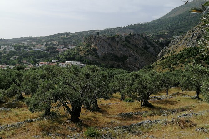 Port of Bar tour - Explore Adriatic area - Bar and Ulcinj tour - Key points at a glance