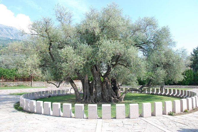 Port of Bar tour - Explore Adriatic area - Bar and Ulcinj tour - Who should book this experience