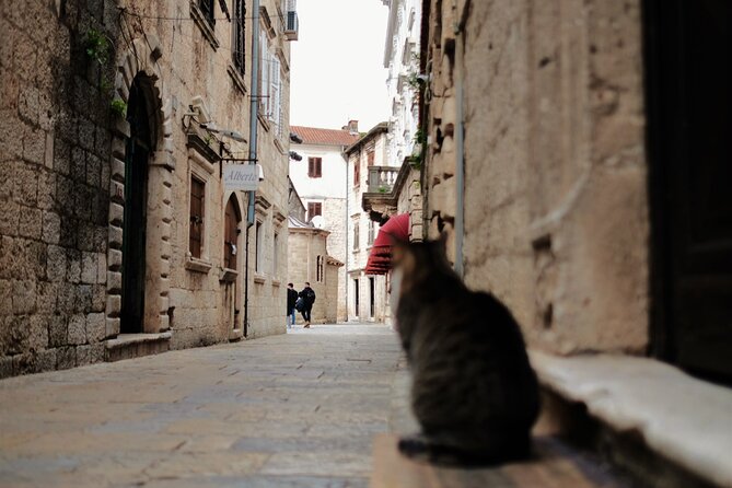 Port of Kotor - Kotor-Perast-Our lady of the rocks private tour - A private sedan and a guide make the logistics simple