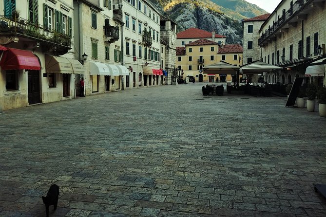 Port of Kotor - Kotor-Perast-Our lady of the rocks private tour - Who will get the most from this tour?