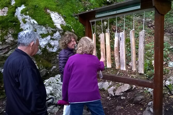 Private Full-Day Tour in Moraca and Tara Canyons, Durmitor & Biogradska Gora NP - Tara Canyon brings the biggest views