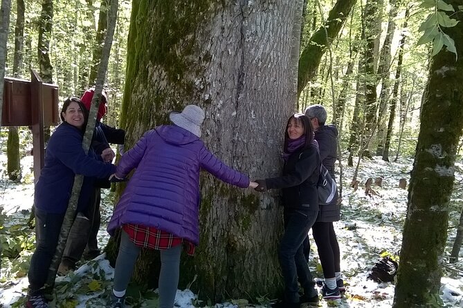 Private Full-Day Tour in Moraca and Tara Canyons, Durmitor & Biogradska Gora NP - What to bring for changing mountain weather