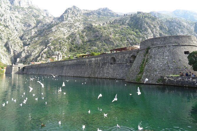 Private Full-Day Tour -Kotor tour, Saint Stefan & NP Skadar Lake - Price, timing, and the practical value