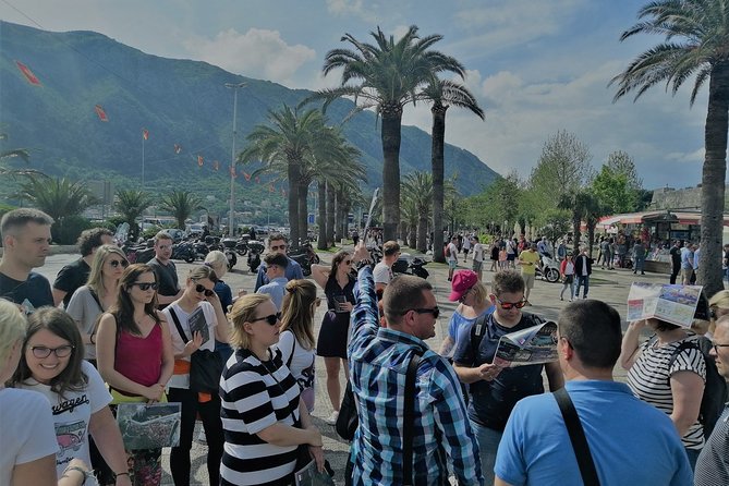 Private Kotor City Walking Tour - What the private format adds