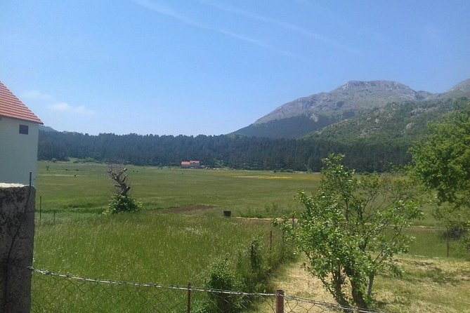 Private National Park Lovcen with food and wine tasting - Who will enjoy this half-day outing