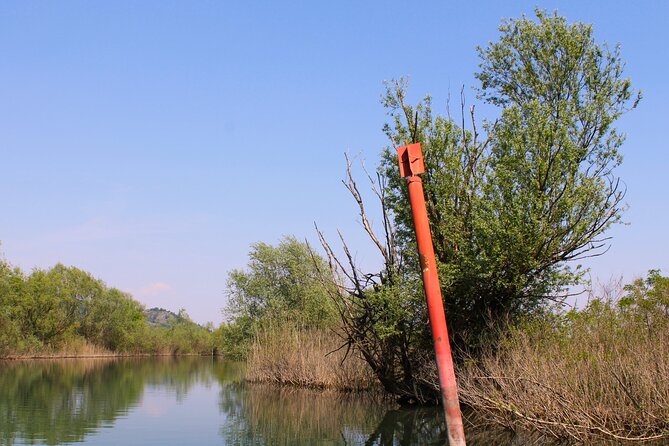 Private Skadar Lake National Park Tour with Wooden Boat and Wine - Who will enjoy this short private cruise