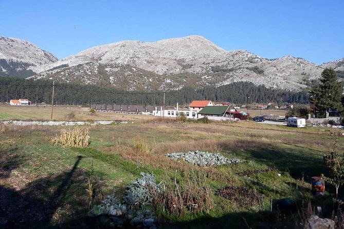 Private tour: Homemade food and wine tasting at my family home - Key points to know before you book