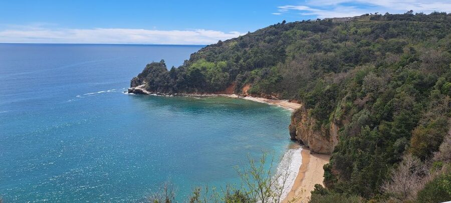 Private Tour: Montenegro Day Trip from Dubrovnik - Who should book this day trip?