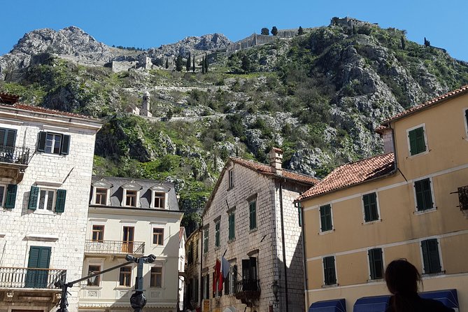 Private Walking tour with Wine and Food - How much food and wine should you expect?
