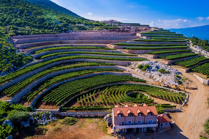 Private Wine Tasting Activity at Lipovac Winery - Key points to know before booking
