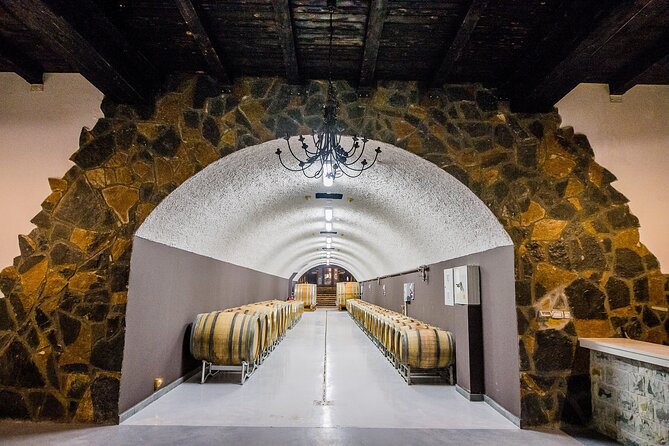 Private Wine Tasting Activity at Lipovac Winery - A winery visit with more than a tasting table