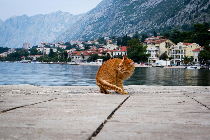 Self Guided Stroll Through Old Town of Kotor - Church of St. Luke and the old town’s religious mix