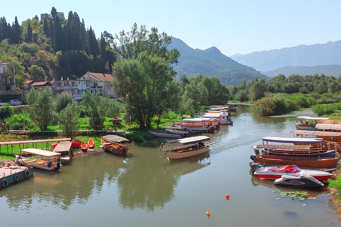 Shared Lake Skadar Tour and Biogradska Gora - Biogradska Gora and Lake Biograd