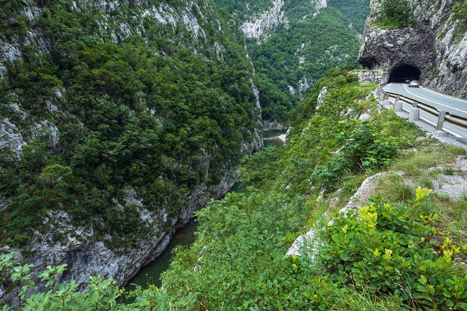 Shared Lake Skadar Tour and Biogradska Gora - What the $82.90 price really covers