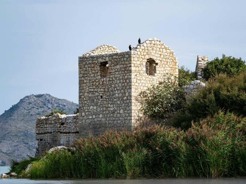 Short Skadar Lake Boat Tour to Morača River with Drinks - Bird watching along the Morača River