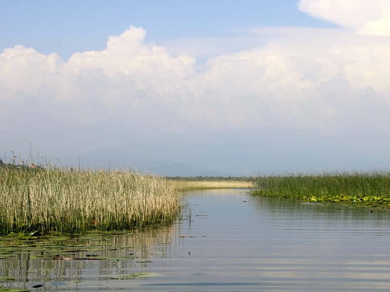Short Skadar Lake Boat Tour to Morača River with Drinks - Timing, weather, and comfort