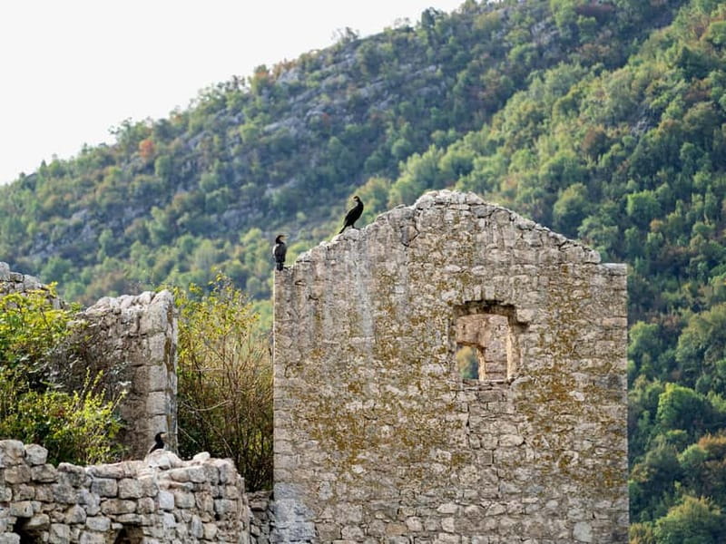 Short Skadar Lake Boat Tour to Morača River with Drinks - Who will enjoy this short Lake Skadar cruise