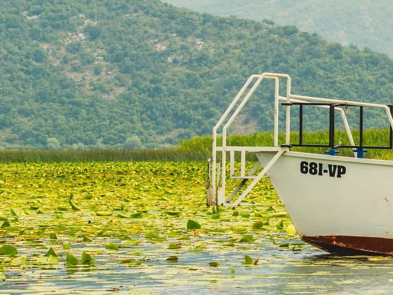 Short Skadar Lake Boat Tour to Morača River with Drinks - Practical tips for a smoother trip