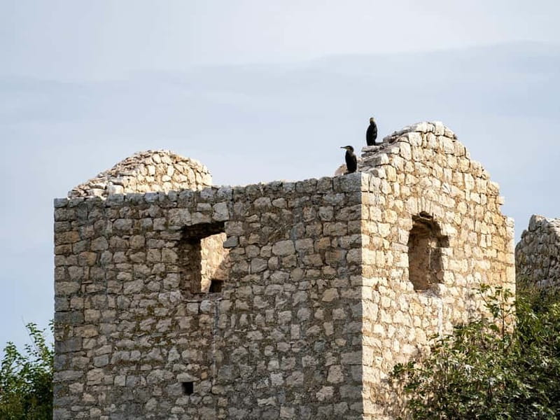Short Skadar Lake Boat Tour to Morača River with Drinks - From the reed fence to the open lake