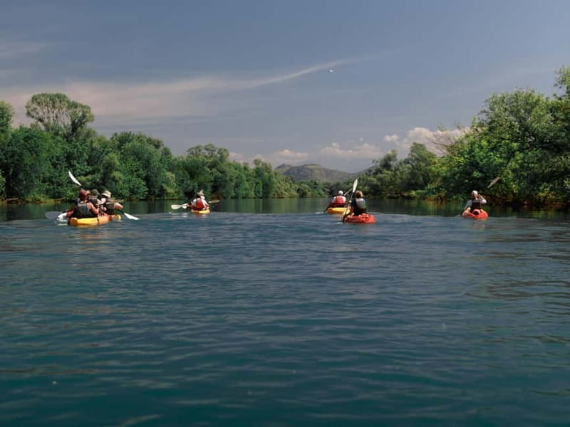 Skadar Lake: 4-Hour Guided tours on Kayak - Through the reeds and into the Montenegrin Amazon