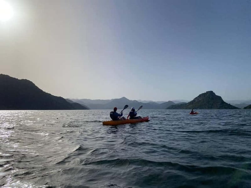 Skadar Lake: 4-Hour Guided tours on Kayak - Wildlife watching requires patience