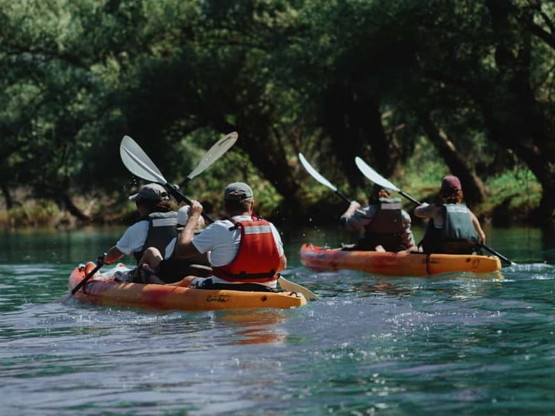 Skadar Lake: 4-Hour Guided tours on Kayak - The optional fish meal in Vranjina