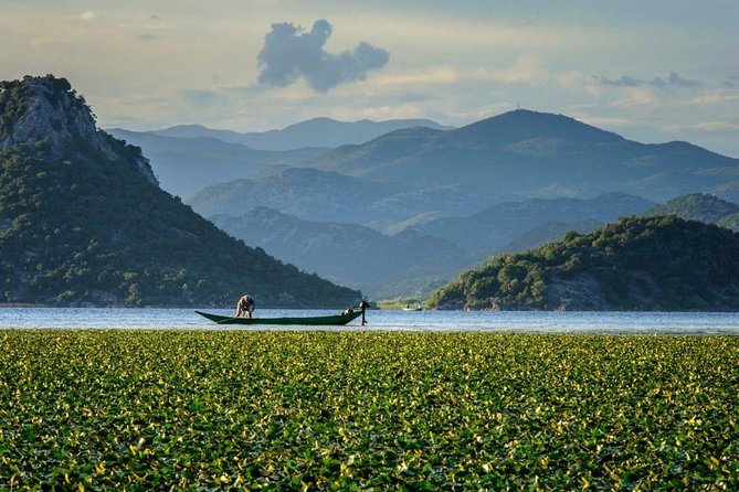 Skadar lake boat ride through "Montenegrin Amazon", wine tasting & Niagara falls - Key points at a glance