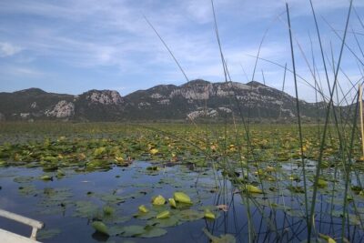 Skadar lake boat ride through “Montenegrin Amazon”, wine tasting & Niagara falls