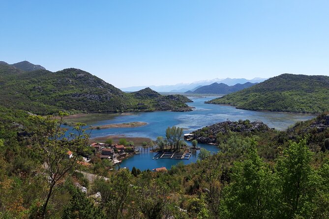 Skadar lake boat ride through "Montenegrin Amazon", wine tasting & Niagara falls - Who will get the most from this tour
