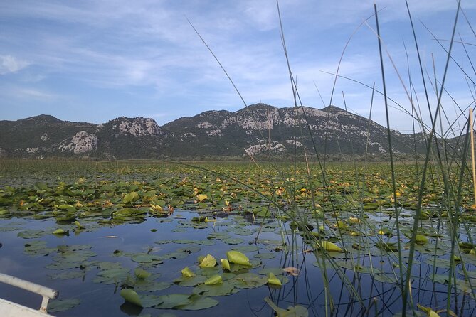 Skadar lake boat ride through "Montenegrin Amazon", wine tasting & Niagara falls - Pavlova Strana, the view that explains the lake
