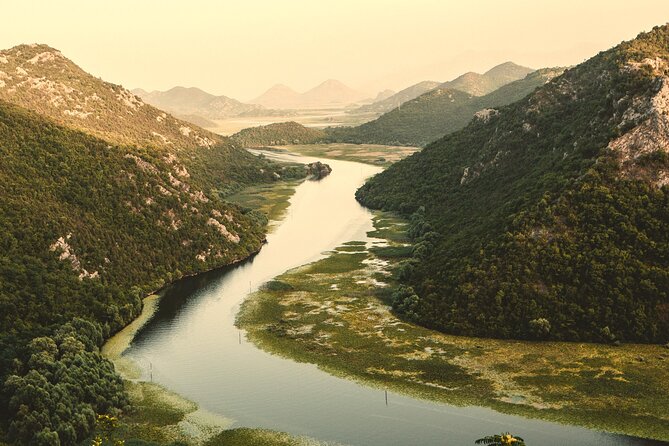 Skadar Lake & Crnojevića River: Swimming, Snacks & Wine - Water lilies inside Lake Skadar National Park