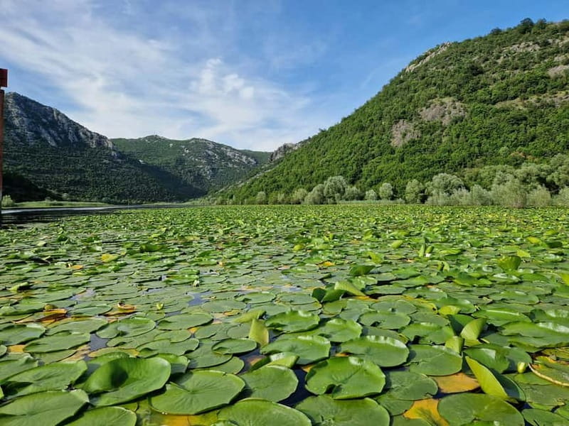 Skadar Lake: Explore the nature and national cuisine - Kom Monastery in a short 30 minutes