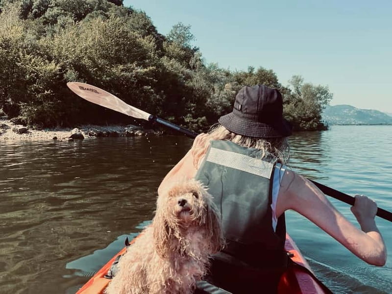 Skadar Lake: Kayak & Paddle board Rental - Bird watching from a kayak or SUP