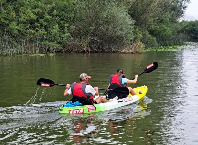 Skadar Lake kayak rent: A Journey Through Tranquility - Starting in Virpazar, 30 minutes before departure
