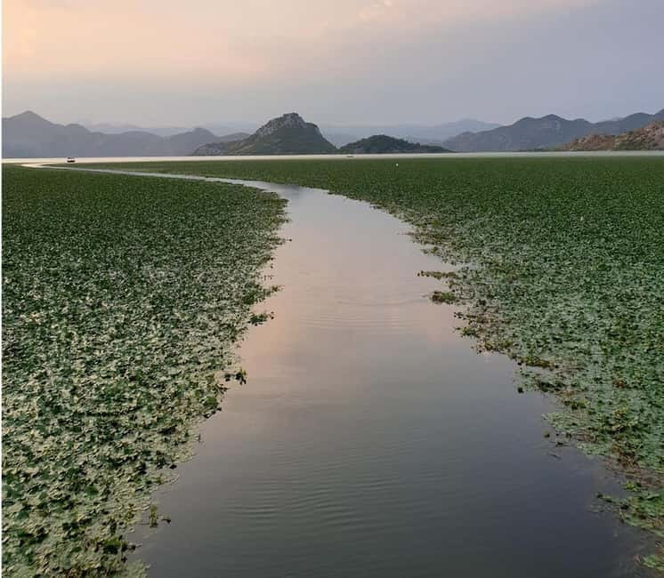 Skadar Lake kayak rent: A Journey Through Tranquility - A secluded beach and sunset swim