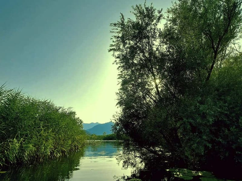 Skadar Lake National Park: Eco-friendly Kayak Adventure - Starting beside Virpazar’s central bridge