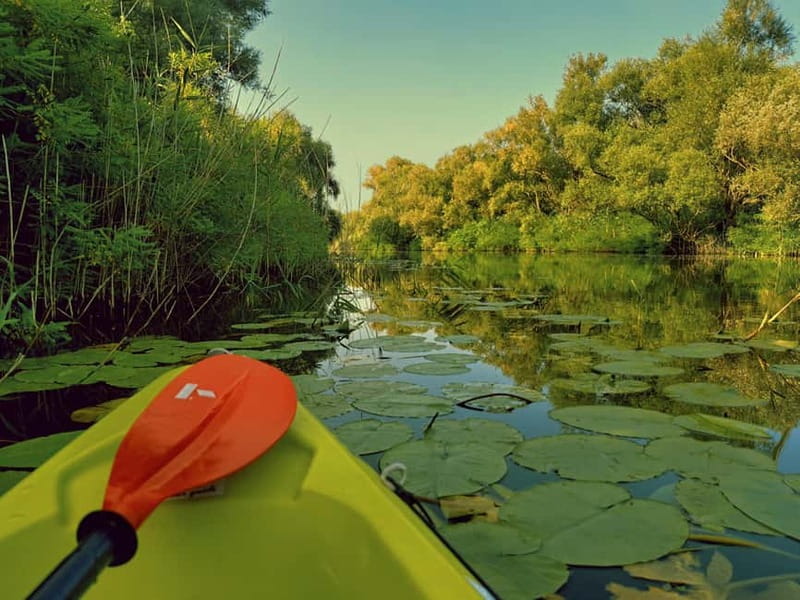 Skadar Lake National Park: Eco-friendly Kayak Adventure - Should you book this one-hour outing?