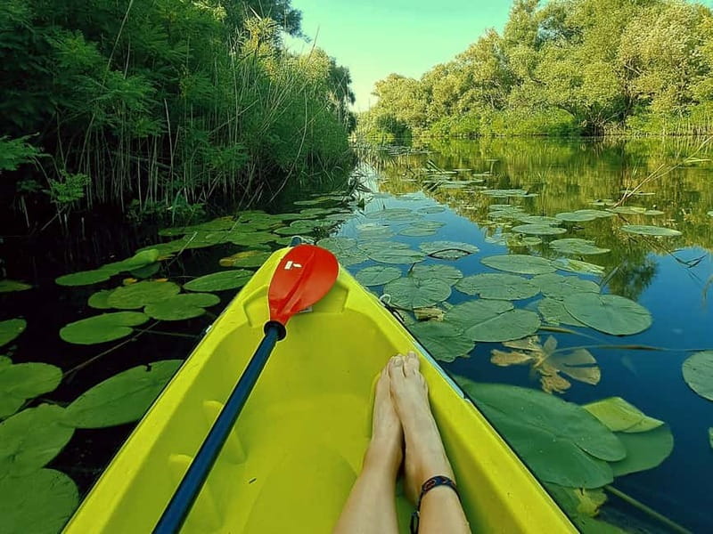 Skadar Lake National Park: Eco-friendly Kayak Adventure - Learning the route before you paddle