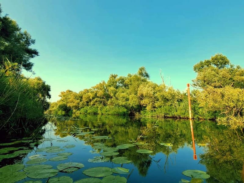 Skadar Lake National Park: Eco-friendly Kayak Adventure - How the one-hour timing changes the experience