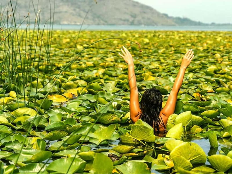 Skadar Lake National Park: Eco-friendly Kayak Adventure - Who should book this Lake Skadar kayak trip?