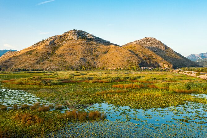 Skadar Lake National Park: Guided Boat Tour with Wooden Boat - Is the $26 price good value?