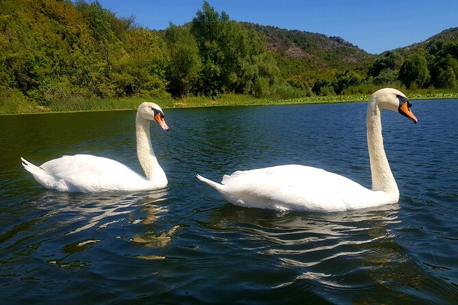Skadar Lake & Virpazar return trip from Podgorica city - Why Skadar Lake makes a good Podgorica escape