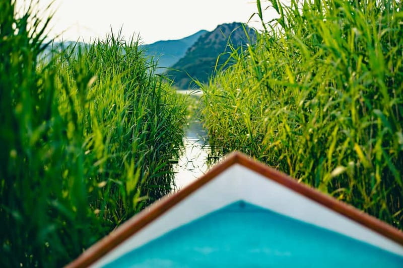 Skadar Lake Virpazar : Speed Boat Special ! - Leaving Virpazar through the lotus channel