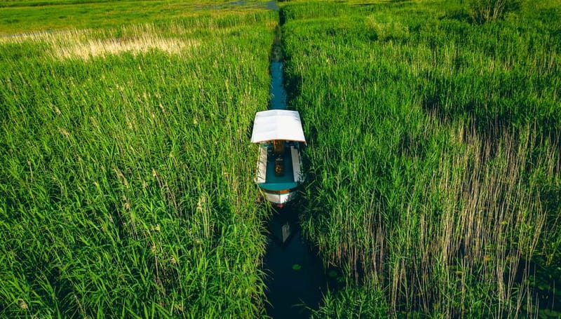 Skadar Lake Virpazar : Speed Boat Special ! - How the timing affects your day