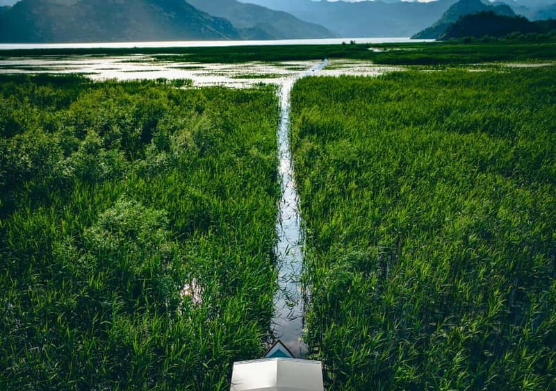 Skadar Lake Virpazar : Speed Boat Special ! - Who will enjoy this most