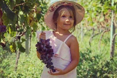 TASTE OF MONTENEGRO – Gastro Private Tour of wine and food