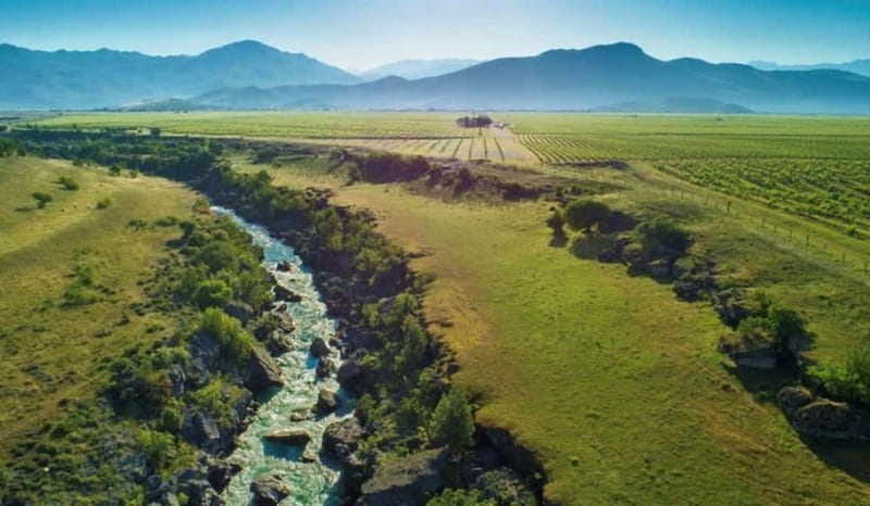 The largest winery in Montenegro: private tour & transport - Why Plantaže is worth your time