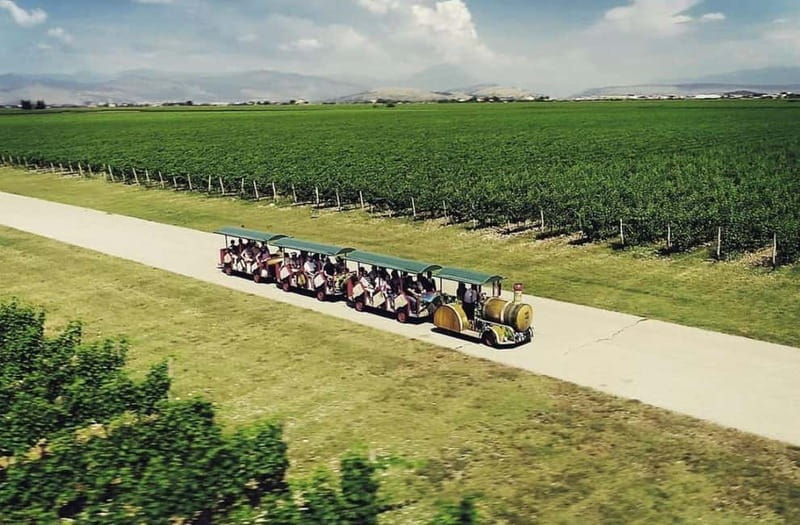 The largest winery in Montenegro: private tour & transport - The drive from Podgorica to Plantaže