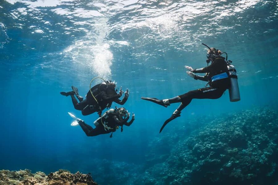 Try Scuba Diving from Boat in Budva - Budva Diving Center - Why St. Nikola Island makes a good first Adriatic outing